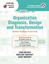 Organization Diagnosis, Design, and Transformation