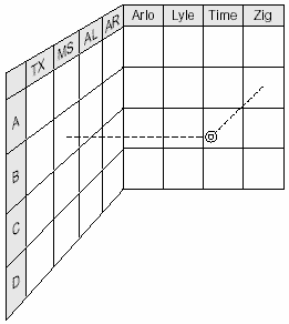 l shaped matrix diagram