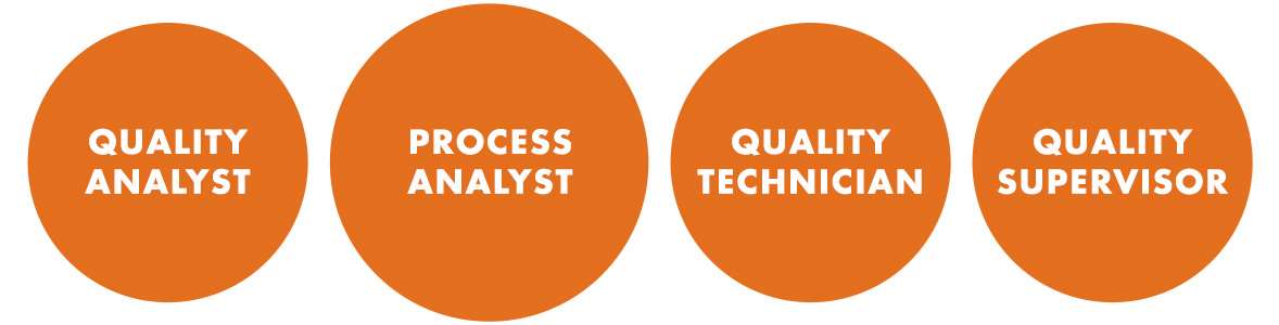 Career journey for Mid (Quality Analyst, Process Analyst, Quality Technician, Quality Supervisor)