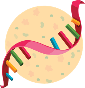 Icon of DNA strand