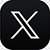 x icon
